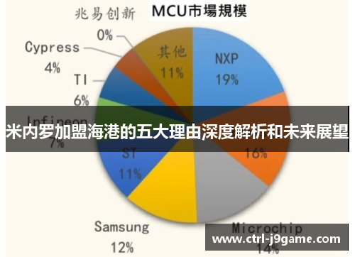 米内罗加盟海港的五大理由深度解析和未来展望